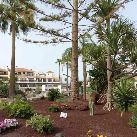 Estudio En Golf Del Sur Con Piscina Climatizada * San Miguel de Abona